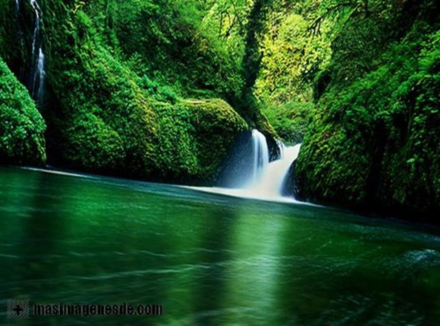 Se crea la qunion internacional para la  conservacion  de la naturaleza