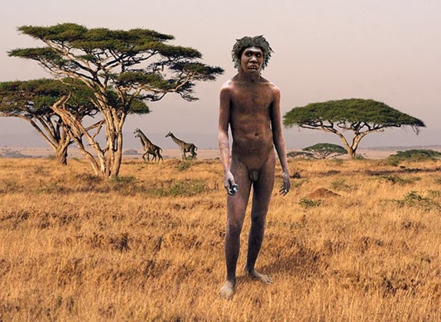 1.5 millones de años