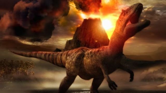 47 millones de años