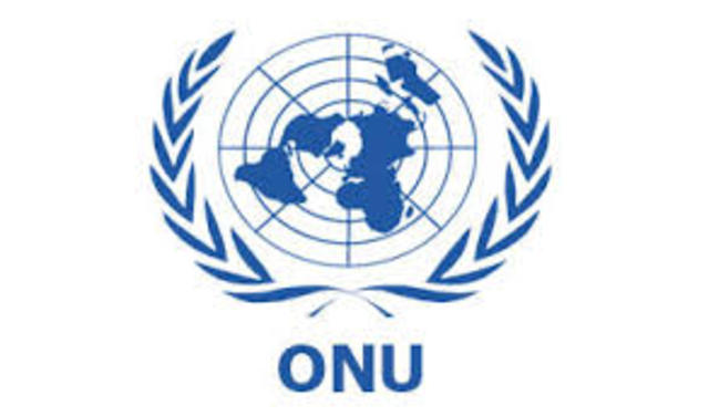 Organización de las Naciones Unidas