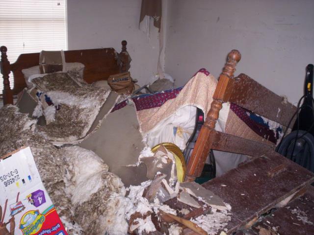 Hurricane Katrina forced us to evacuate to Florida and then North Carolina.