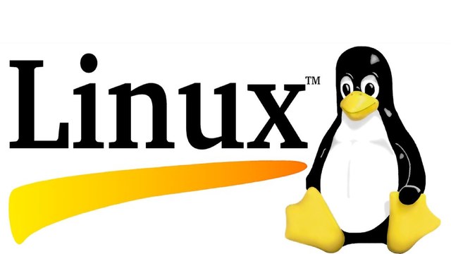 LINUX es lanzado