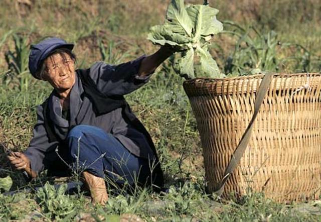 Abuses by the Warlords