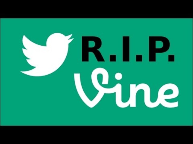 Vine Discontinued.