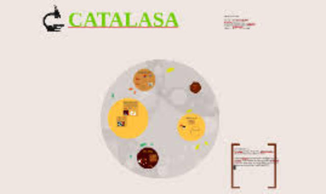 catalasa