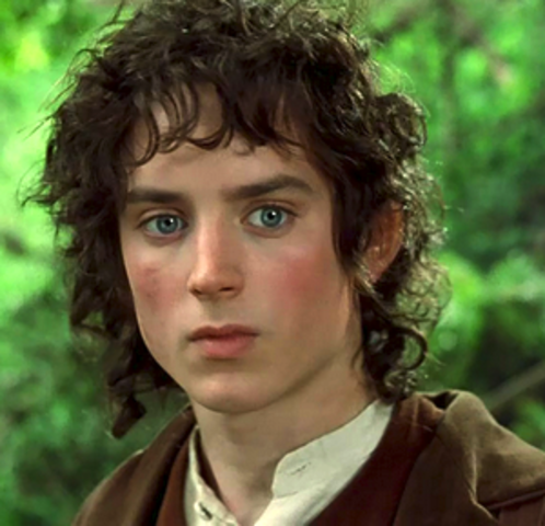 Frodo Leaves The Shire