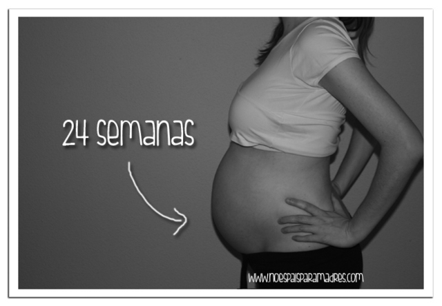 24 semanas