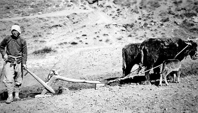 Socioeconomic factors