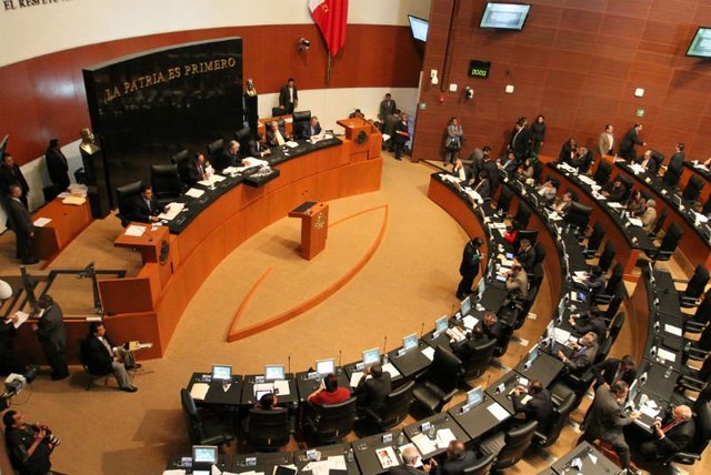 Presentación del Proyecto ante el pleno de la Cámara de Senadores