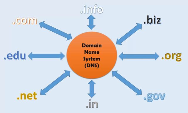 The Domain Name System is created to organize the websites in the World Wide Web.