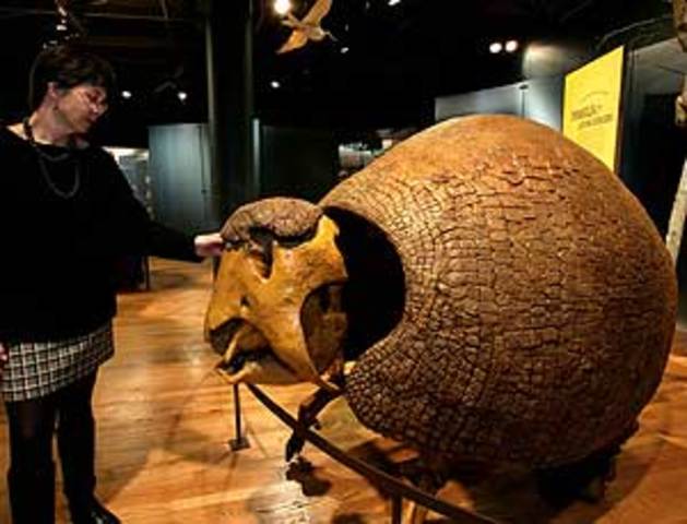 The Beagle Reaches Punta Alta, Argentina