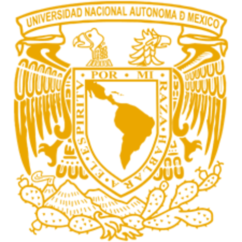 1989 Inicia la Asignatura de Geriatría en la UNAM