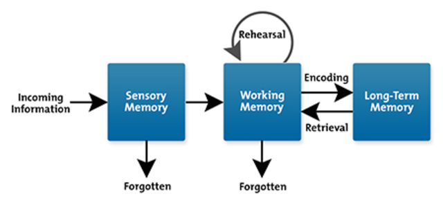 Cognitive Load Theory