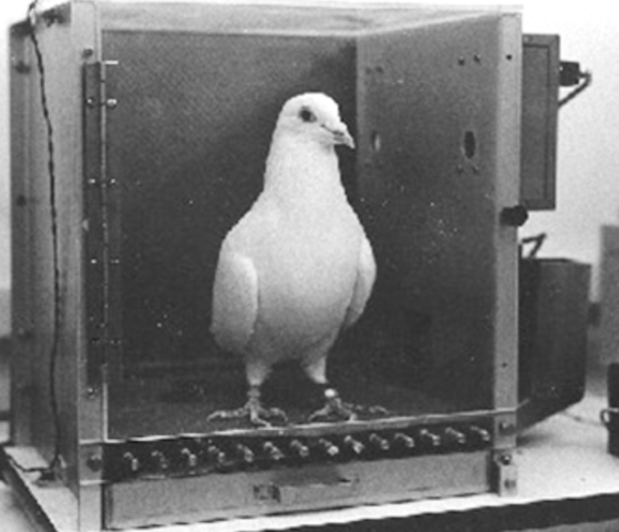 B.F. Skinner Publishes "The Science of Learning and the Art of Teaching"