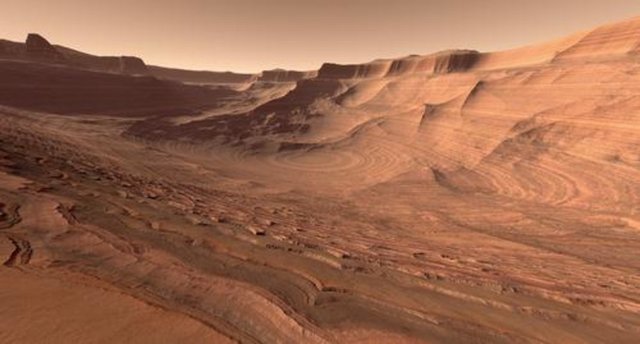 Another possible life form