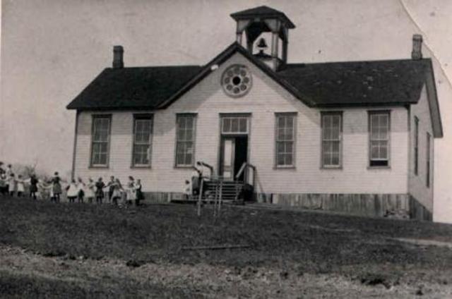 Scout Is Starting School