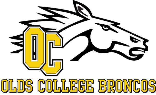 Volleyball on the Olds College Broncos