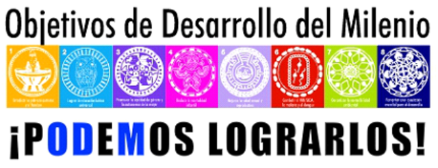 ⦁Cumbre&nbsp;de la ONU sobre los Objetivos de Desarrollo del Milenio&nbsp;2010