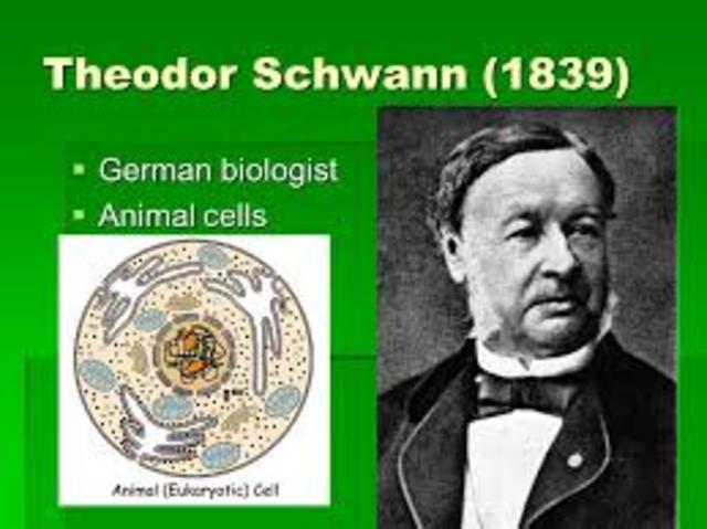 THEODOR SCHWAN.