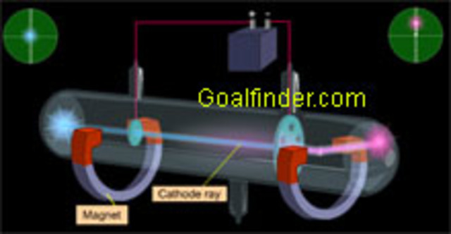 Goldstein(1850-1930)
