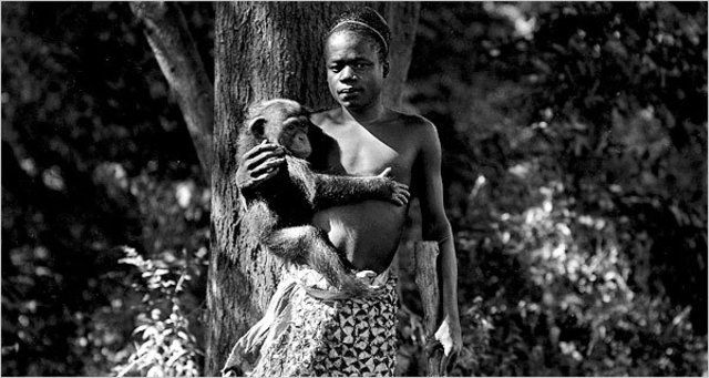 NEGRE EXPOSAT AL ZOO