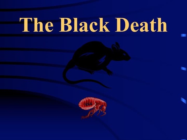 The Black Death part 2