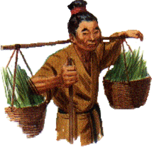 Socio-economic factors