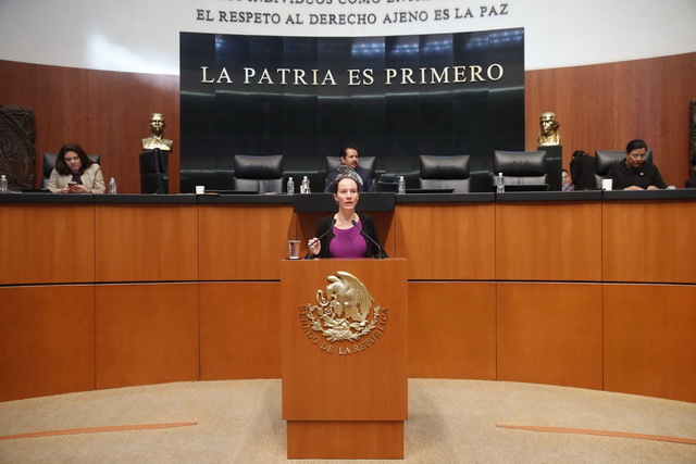 Presentacion Para Reformar El Articulo 73