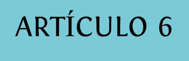 Reforma al artículo 6