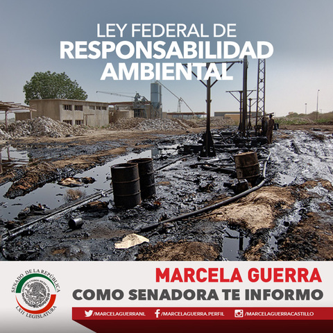 Ley Federal de Responsabilidad Ambiental
