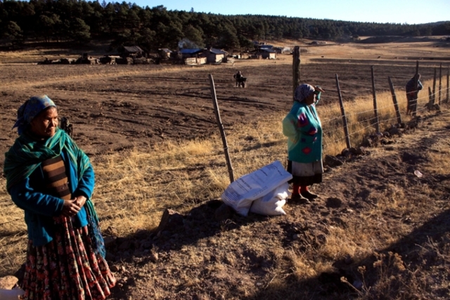 TRABAJO DE INDIGENAS EN AMERICA