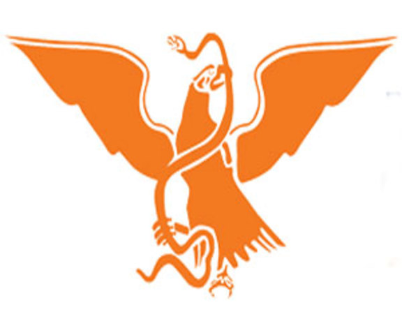 Nace movimiento ciudadano