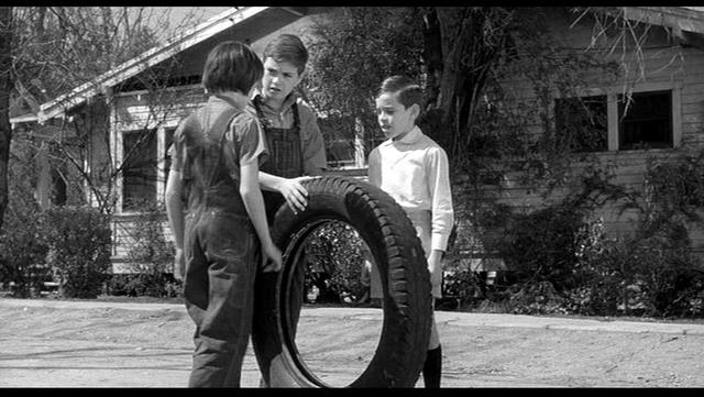 CHAPTER 5 TO KILL A MOCKING BIRD