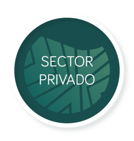 Sector privado le es aplicable la Ley Federal de Protección de Datos Personales en posesión de los Particulares.