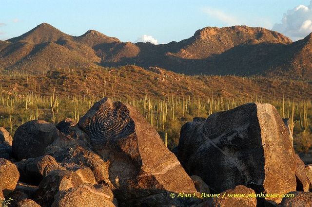 Homer L Shantz Decides To Start Protecting The Park