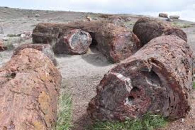 It was established as a national monument