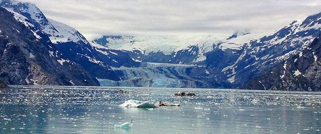 Glacier Bay was found