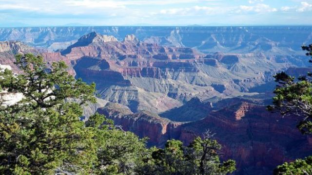 Grand Canyon Becomes National Forest