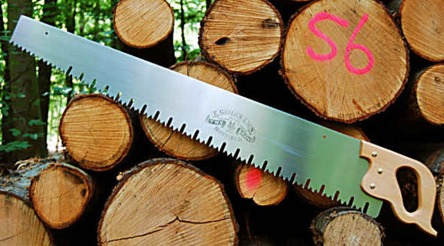 Lodging in the Redwood forest began.