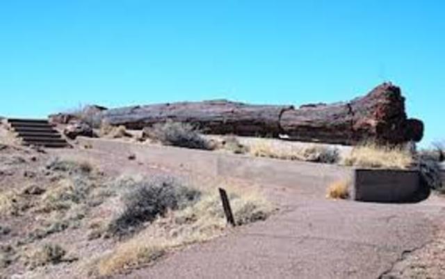 People paved the paths that Native Americans made