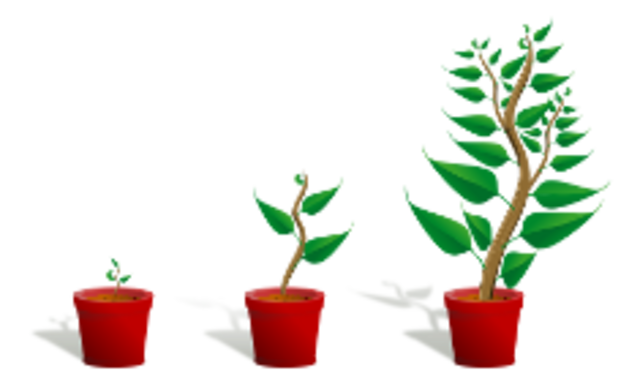 Redwood park was expanded by 48,000 acres