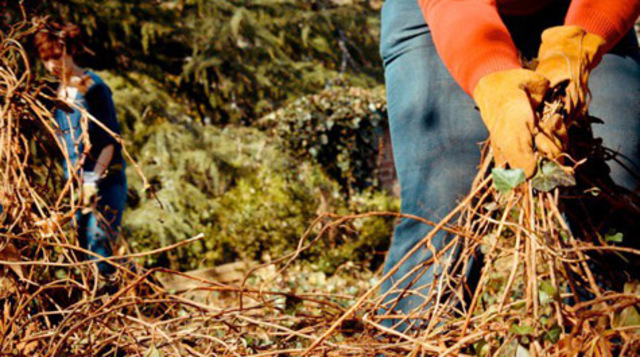 Removal of Nonnative species