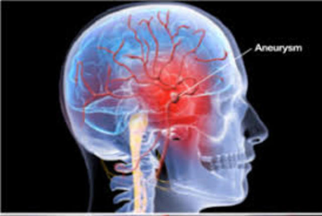 The Death of Luis Cruz