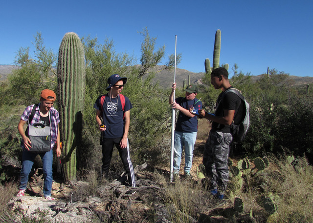 Congress Elevated Saguaro To National Park Status