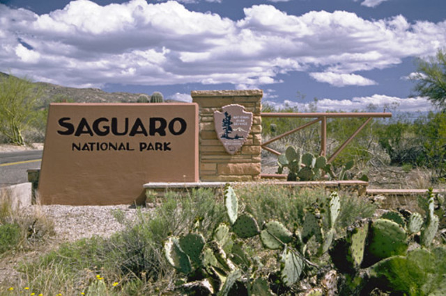 The Park Reached Its Record For Highest Temperature : 117 Degrees Fahrenheit