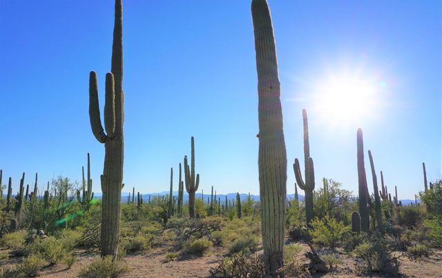 Another 71,400 Acres Got Added To The Park