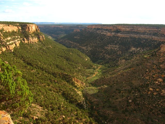 Ancestral Puebloans Found Mesa Verde