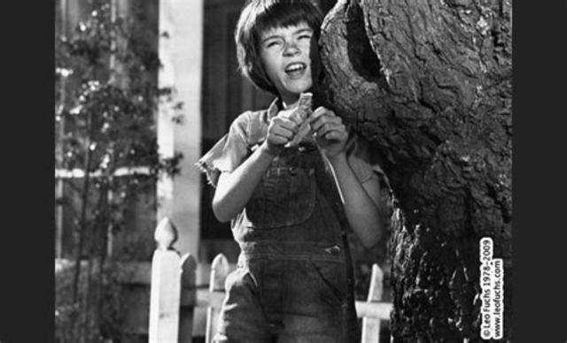 scout found something