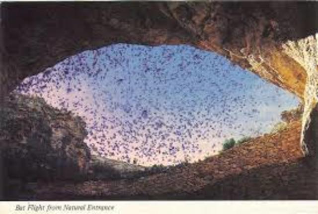 Parks was discovered