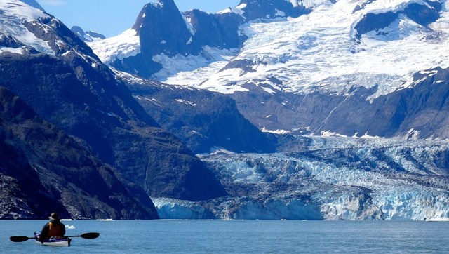 About 390,000 people have visited Glacier Bay national park.